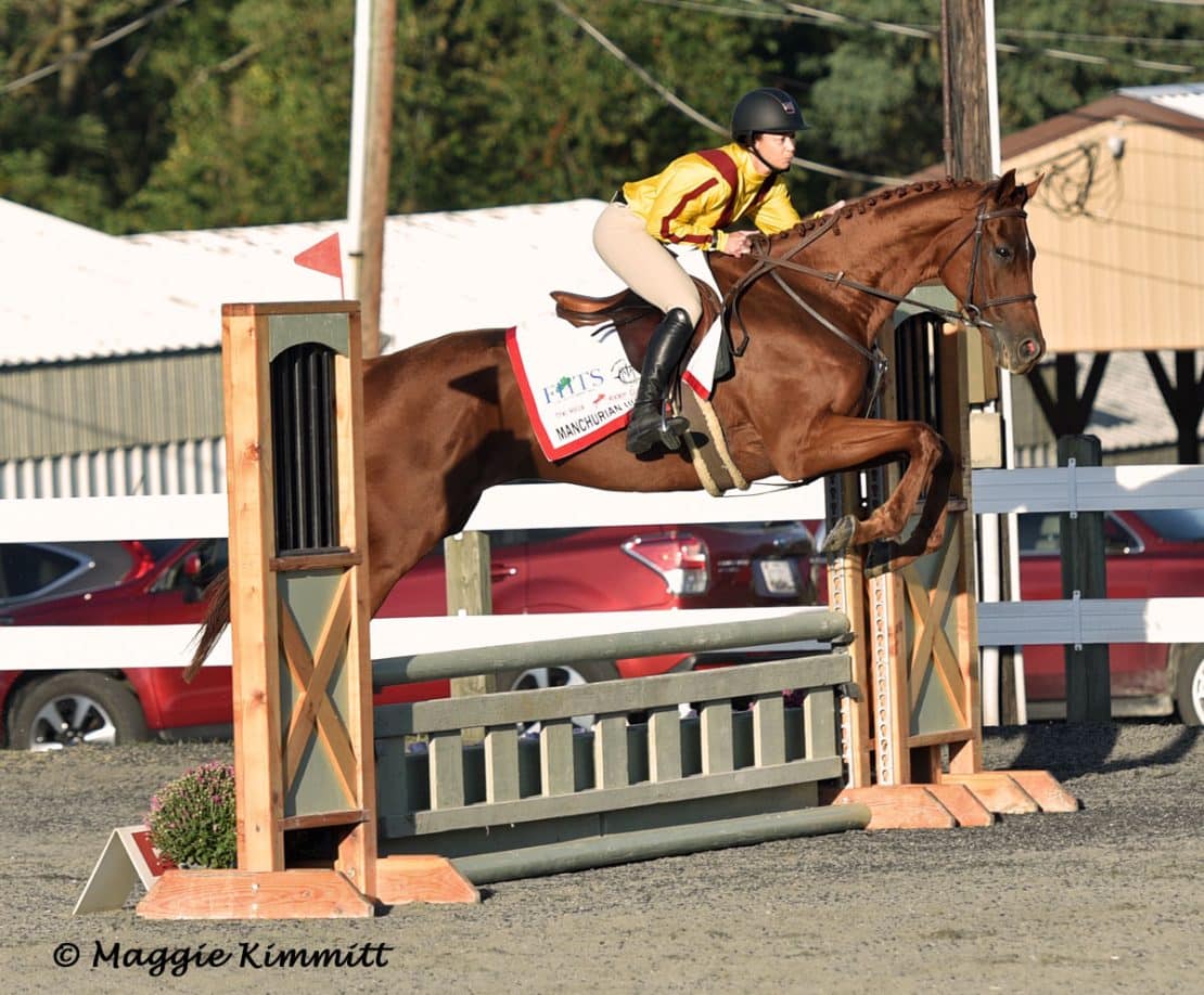 Star-Studded Lineup For Real Rider Cup Ahead Of Fasig-Tipton July Sale ...