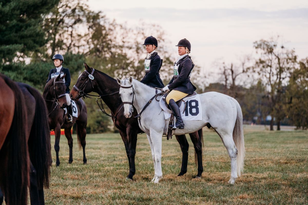 Featured image for “Follow Along with the 2024 Thoroughbred Makeover”