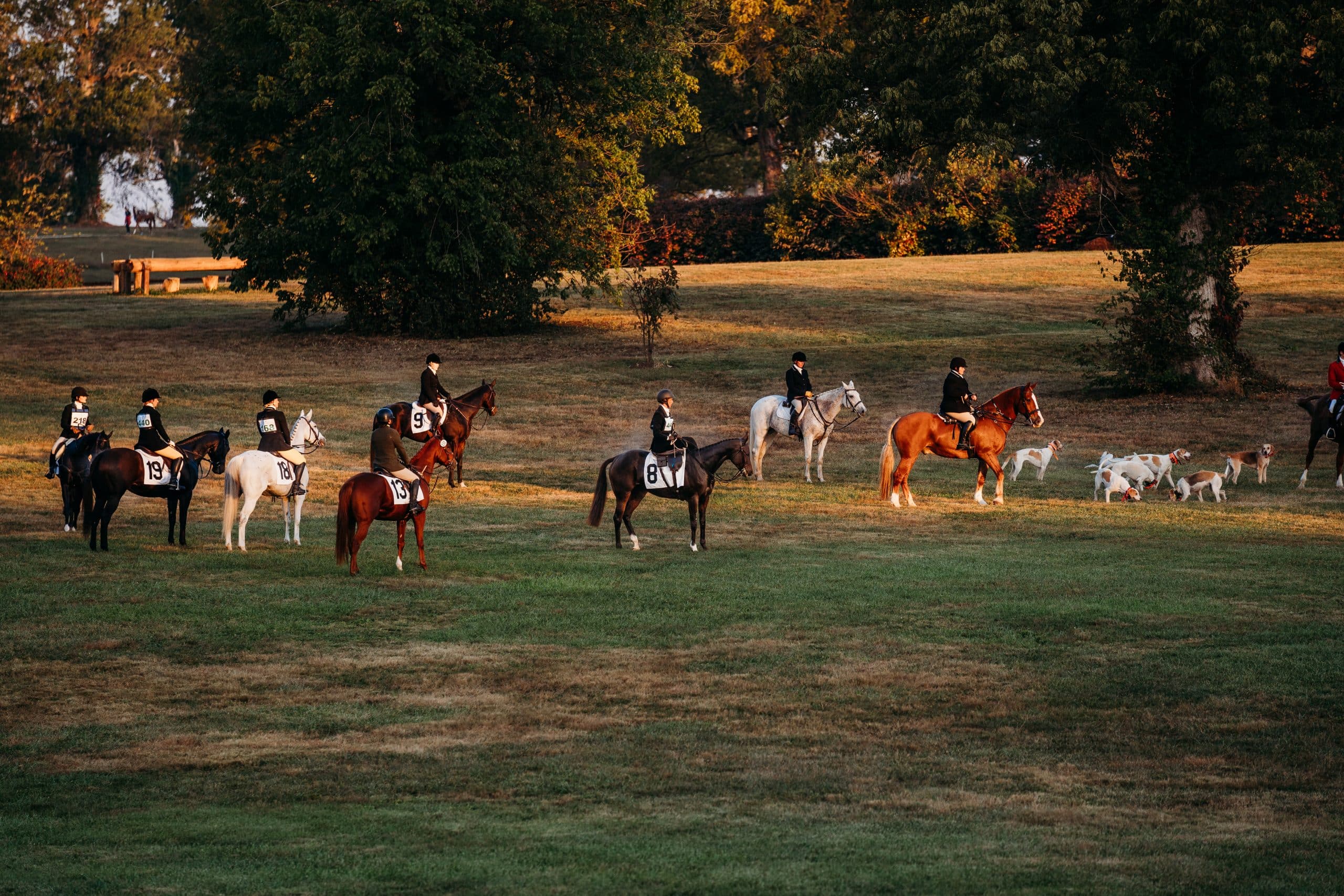 Featured image for “Tally Ho: Ex-Racehorses Can Find Homes in the Hunt Field”