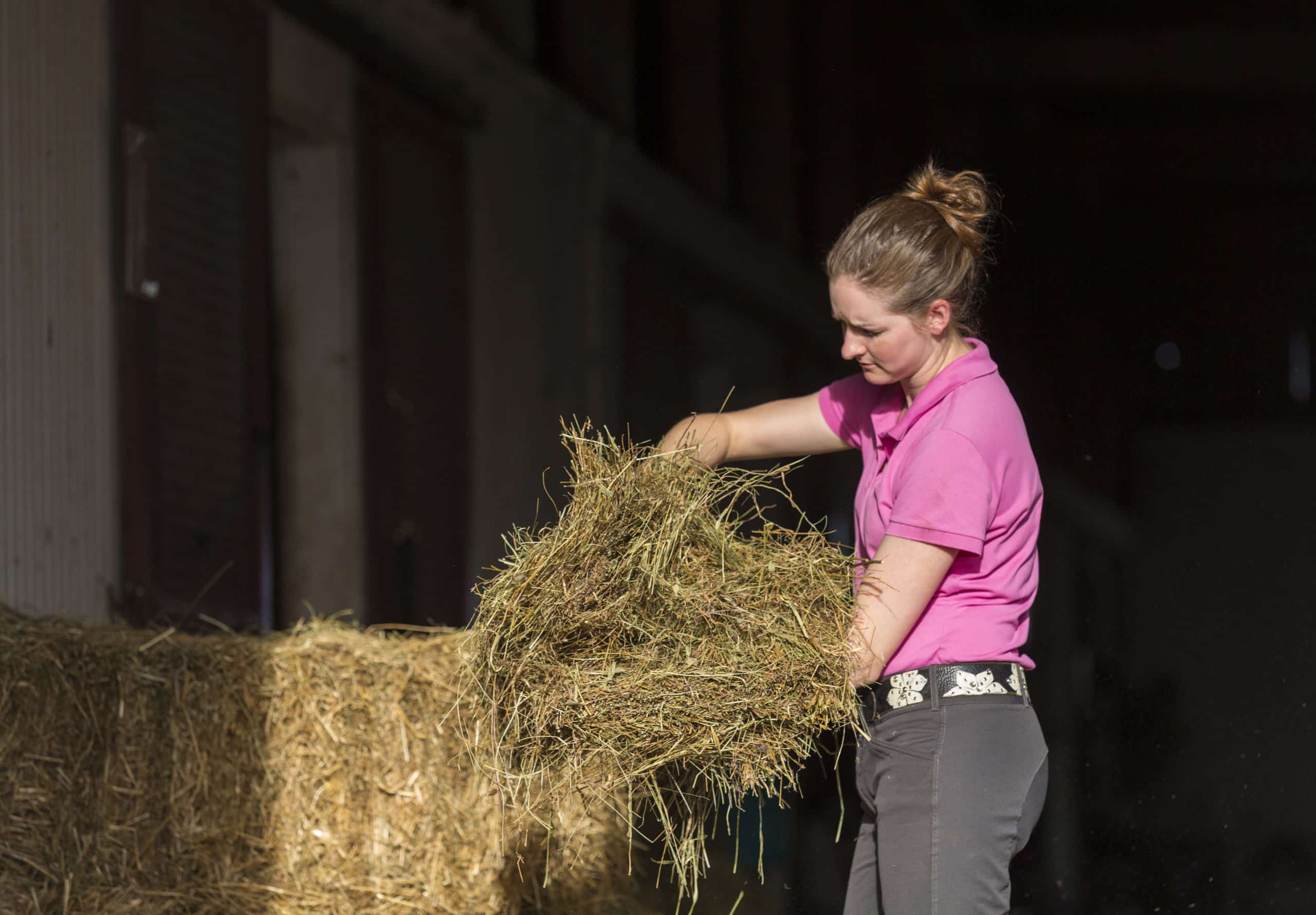 Featured image for “Selecting the Best Hay for Your OTTB”