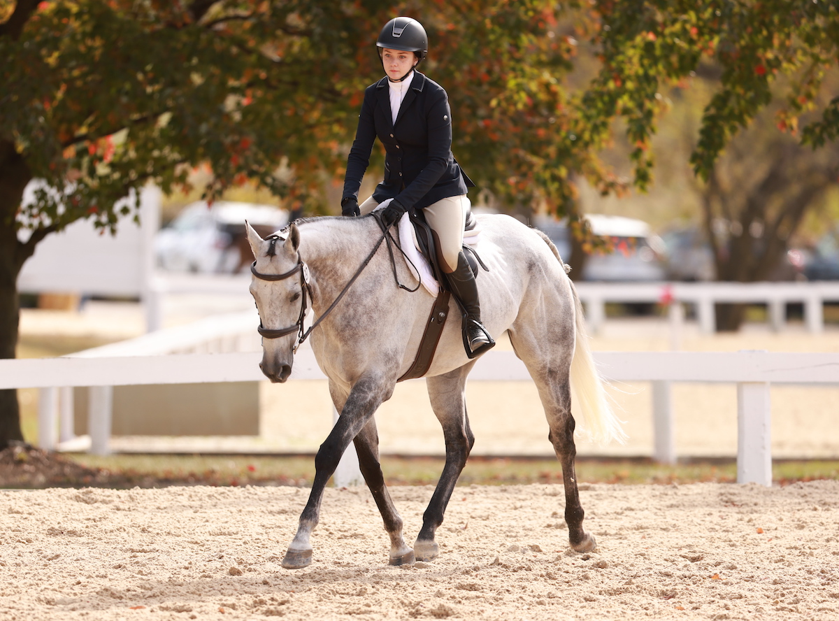 Featured image for “Ask a Trainer: Developing Quality Gaits”