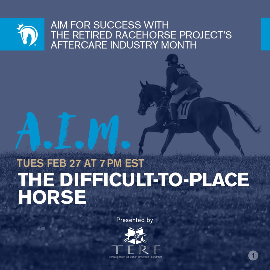 Featured image for “2024 Aftercare Industry Month: The Difficult-to-Place Horse”