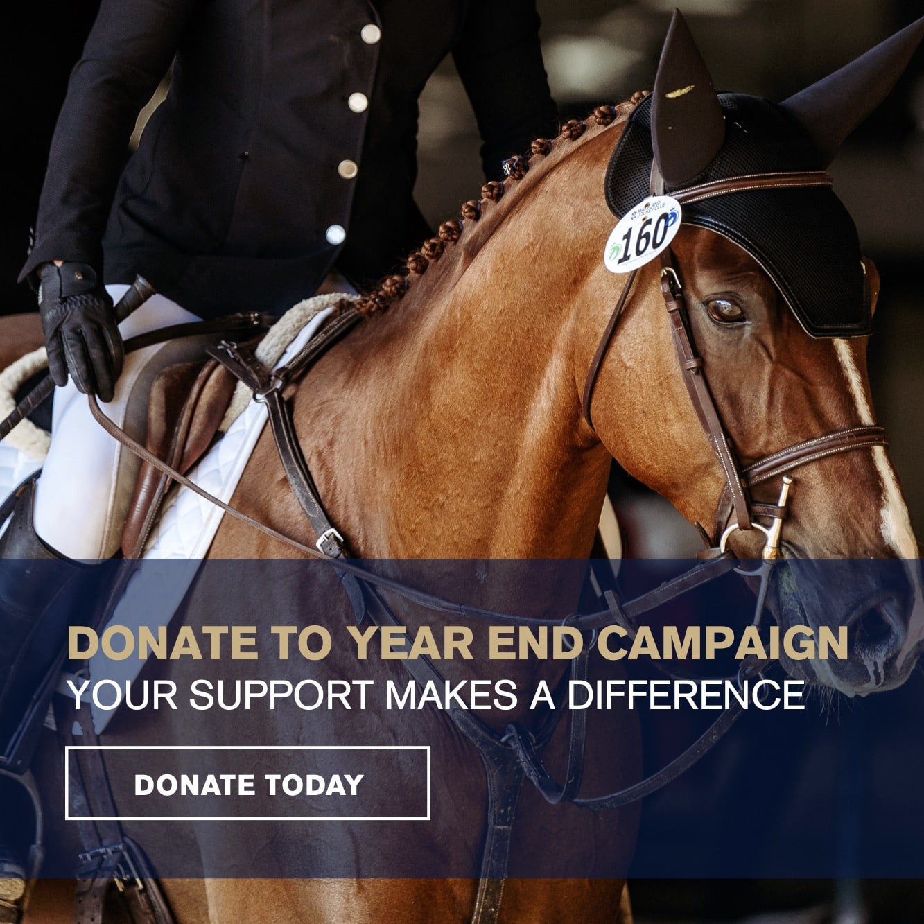 Featured image for “RRP Announces $38,700 Match for 2024 Year-End Giving Campaign”