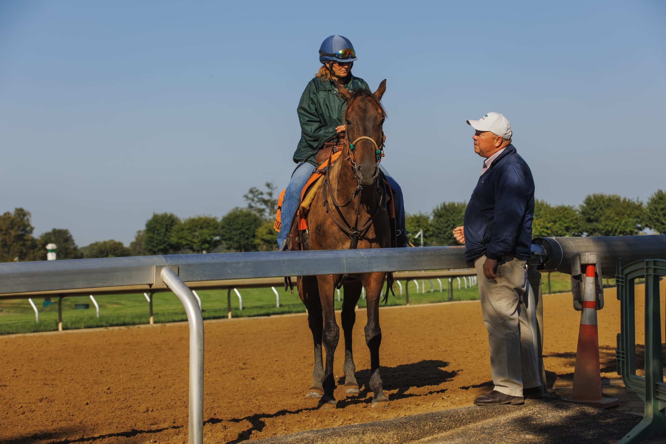 Featured image for “Veterinary Checks on the Track”