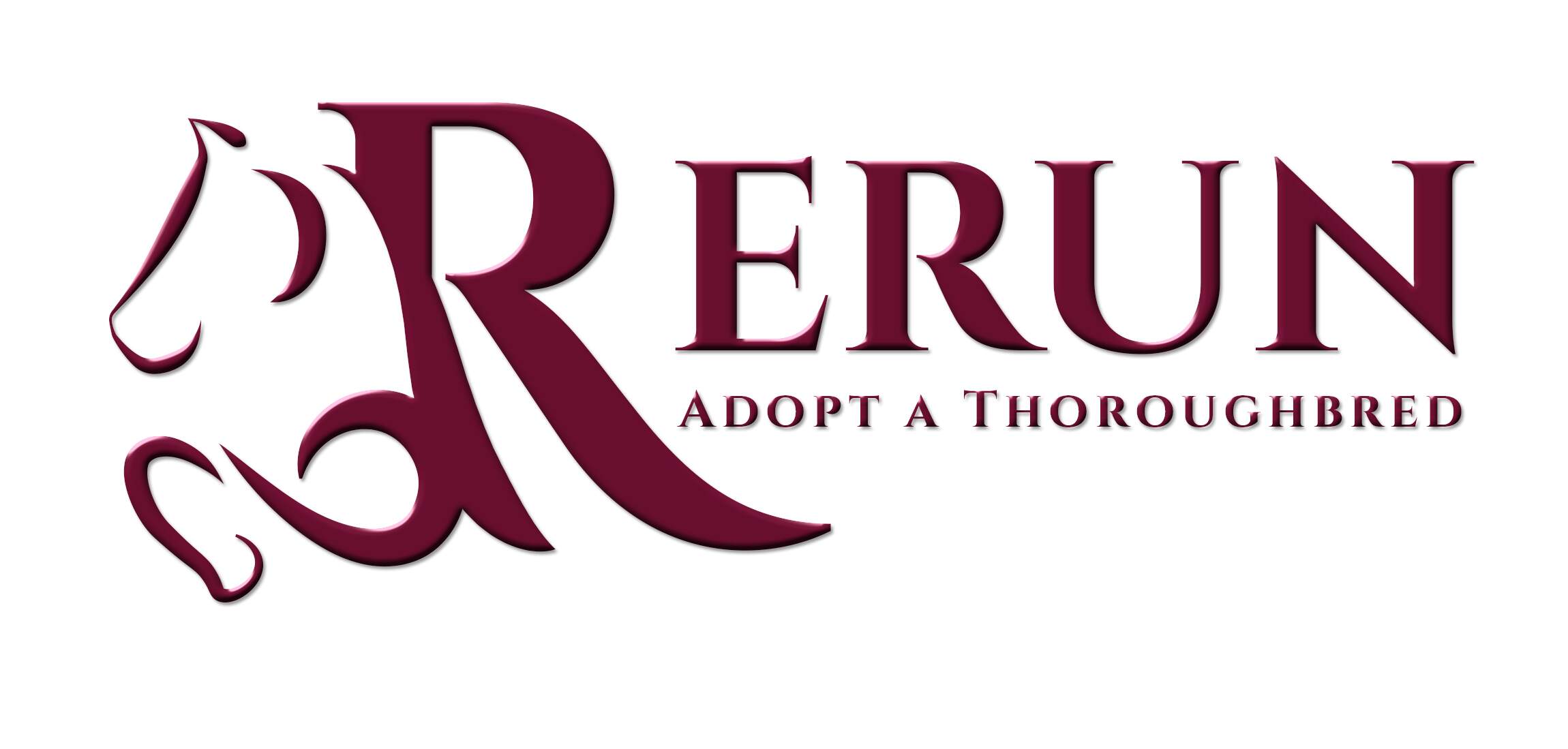 ReRun Thoroughbred Adoption