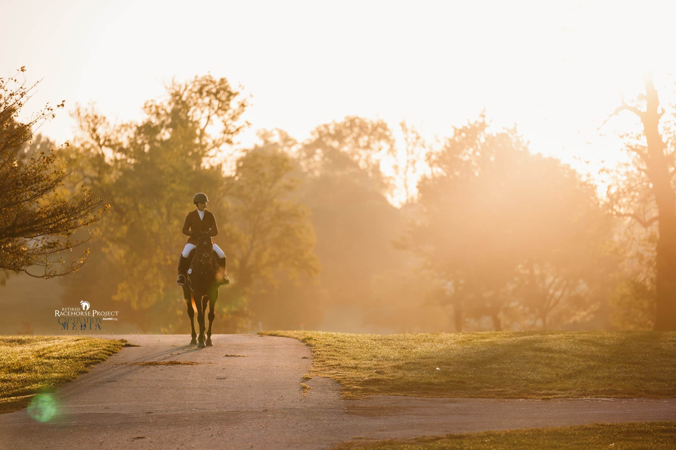 Featured image for “First Day of Competition Is In the Books at the 2024 Thoroughbred Makeover”