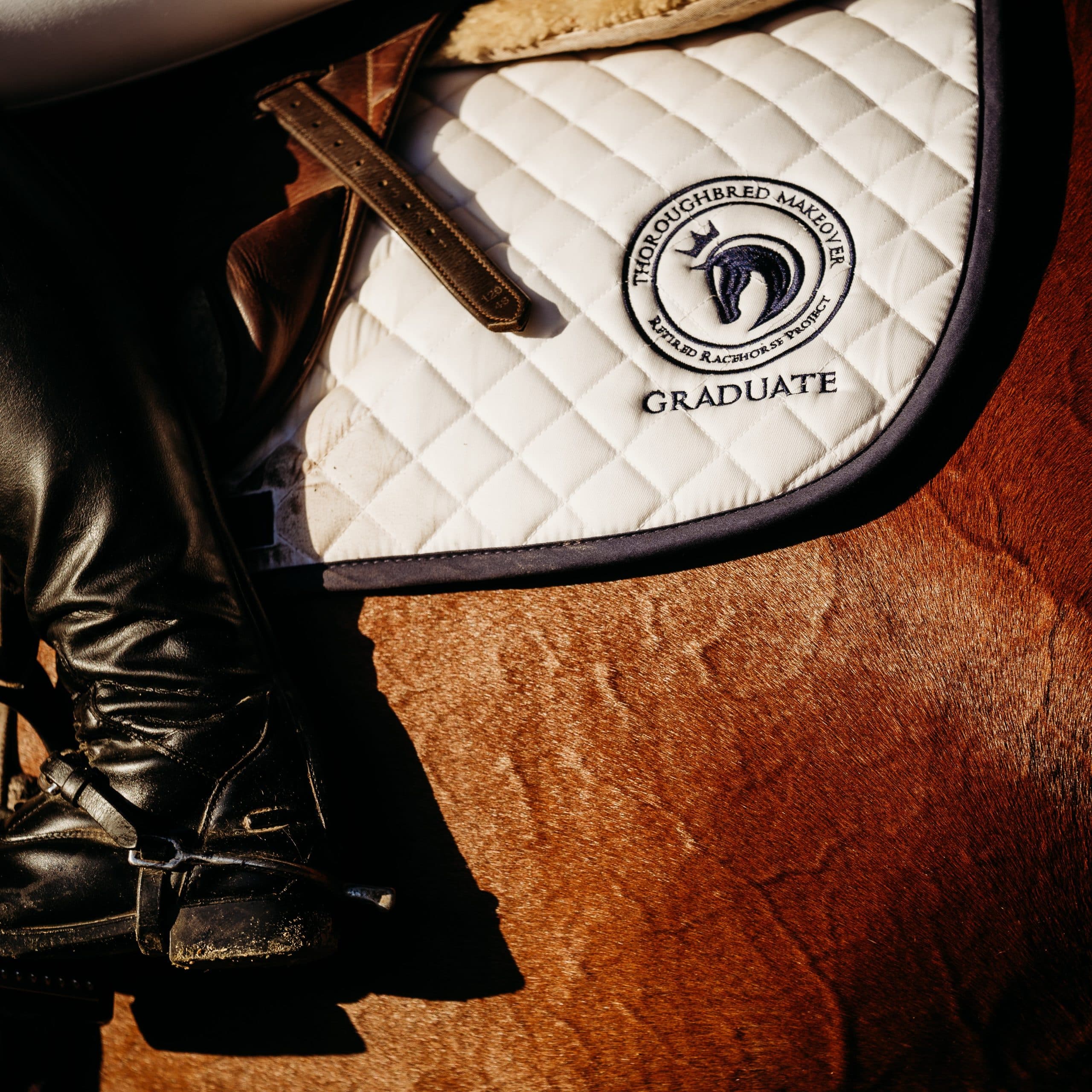 Featured image for “Makeover Grad Saddle Pad”