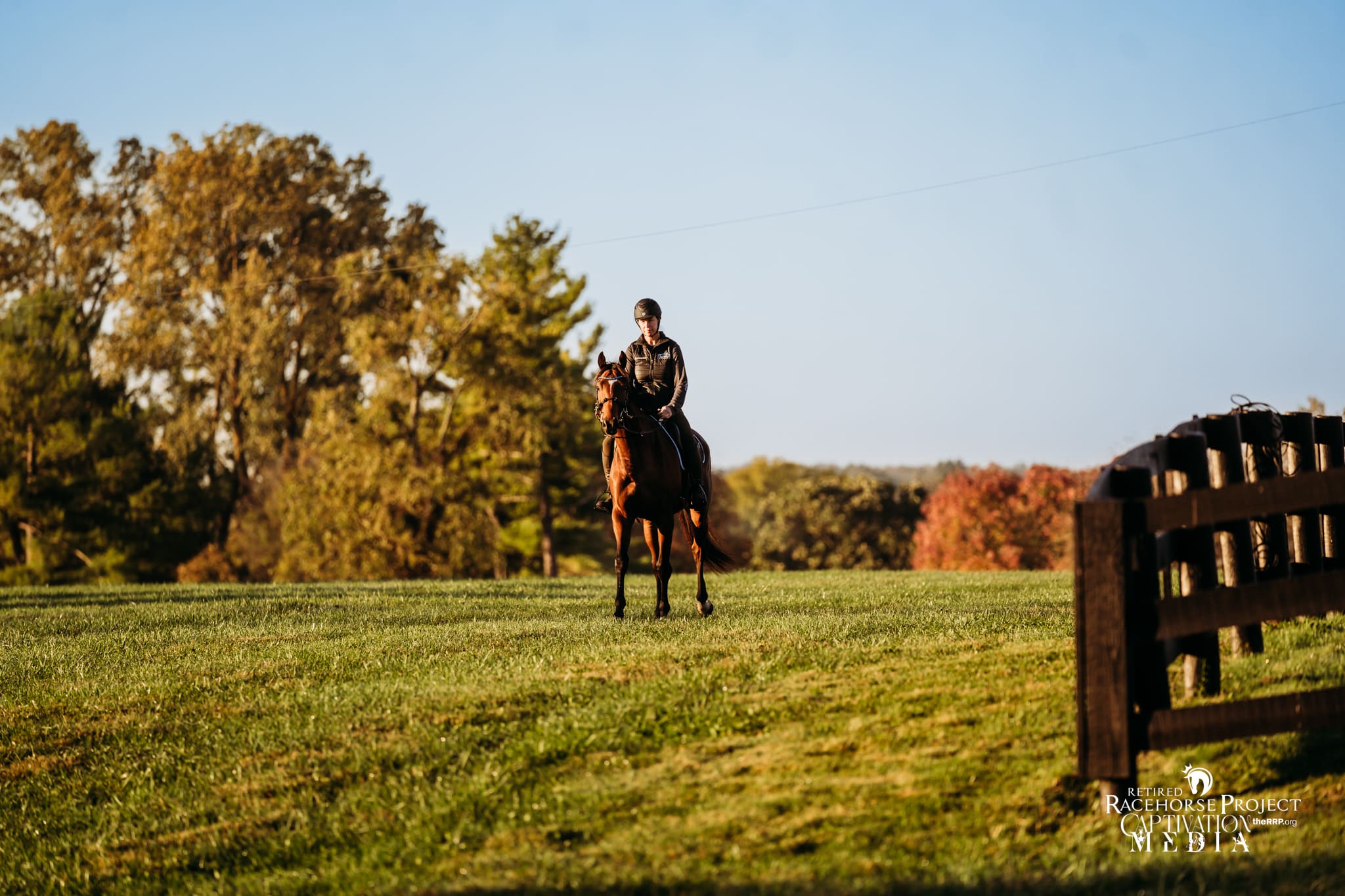 Featured image for “Ask a Trainer: First Hacks Out of the Arena”