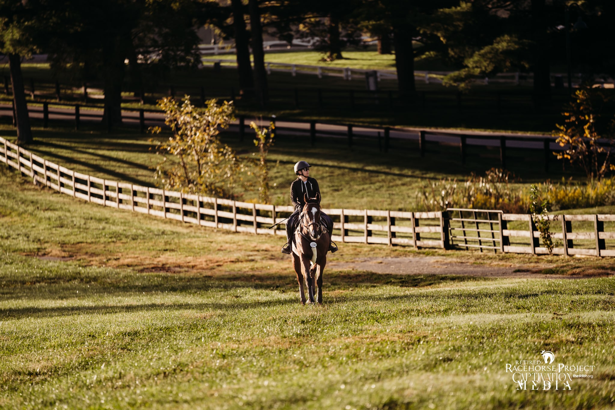 Featured image for “2024 Thoroughbred Broodmare Transition Symposium: Managing Broodmare Health”