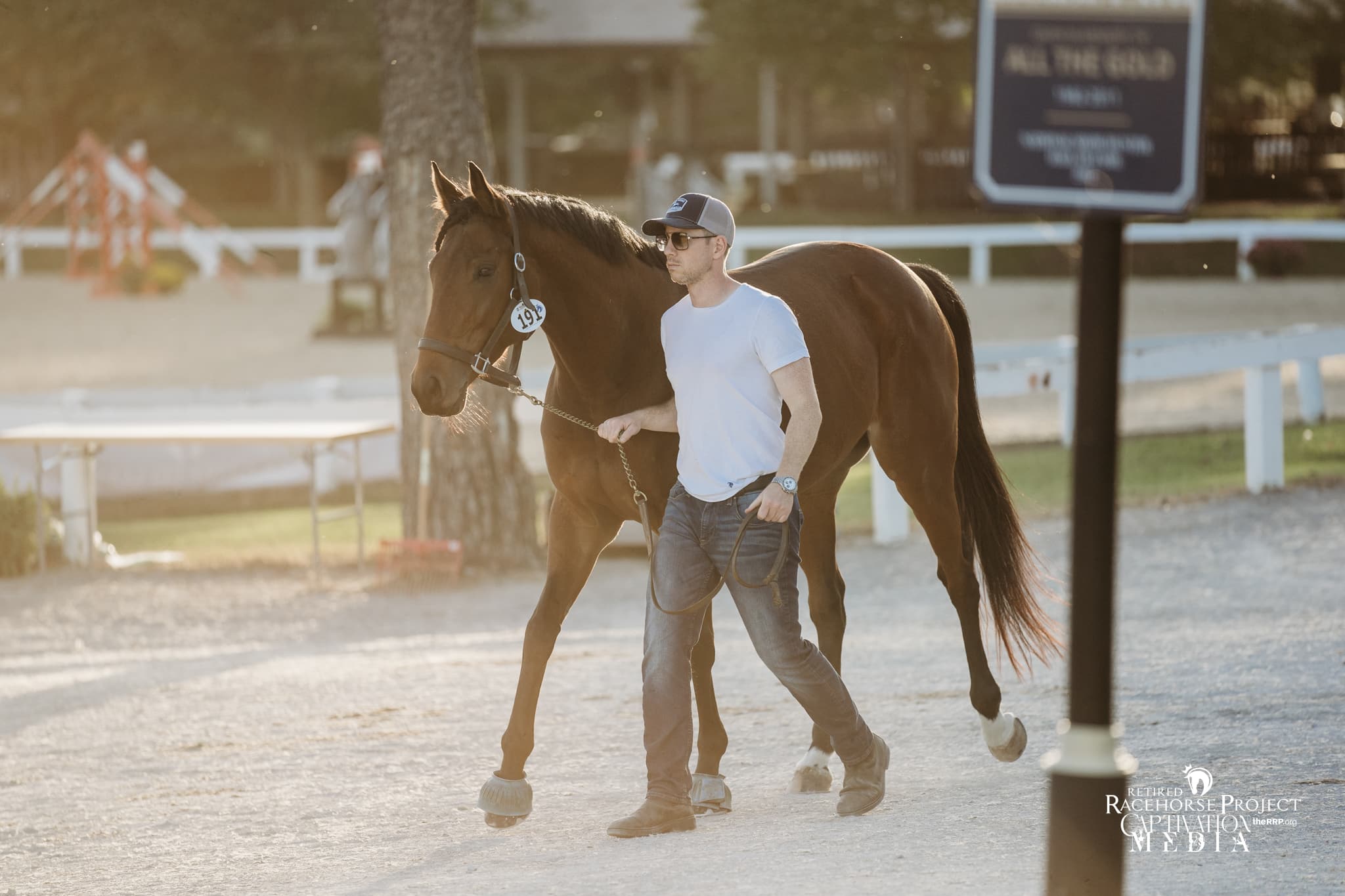 Featured image for “2024 Thoroughbred Broodmare Transition Symposium: Broodmare Marketing & Admin”